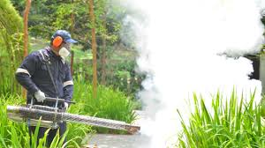 Best Pest Exclusion Services  in Terville, WA